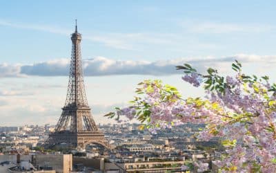 Почему Париж привлекает все внимание?