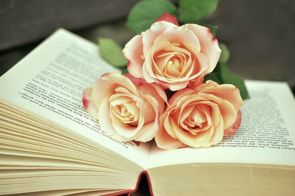 Открытая книга с розами на ней