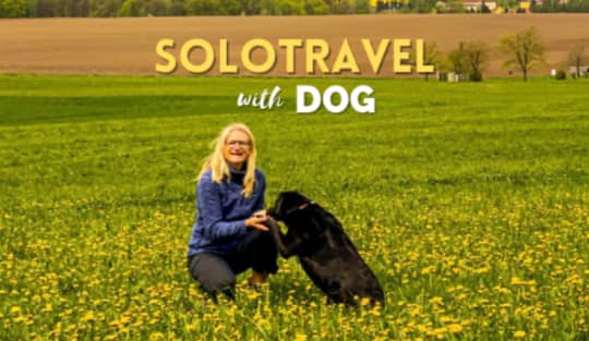 Изучайте немецкий с Solotravel с собакой