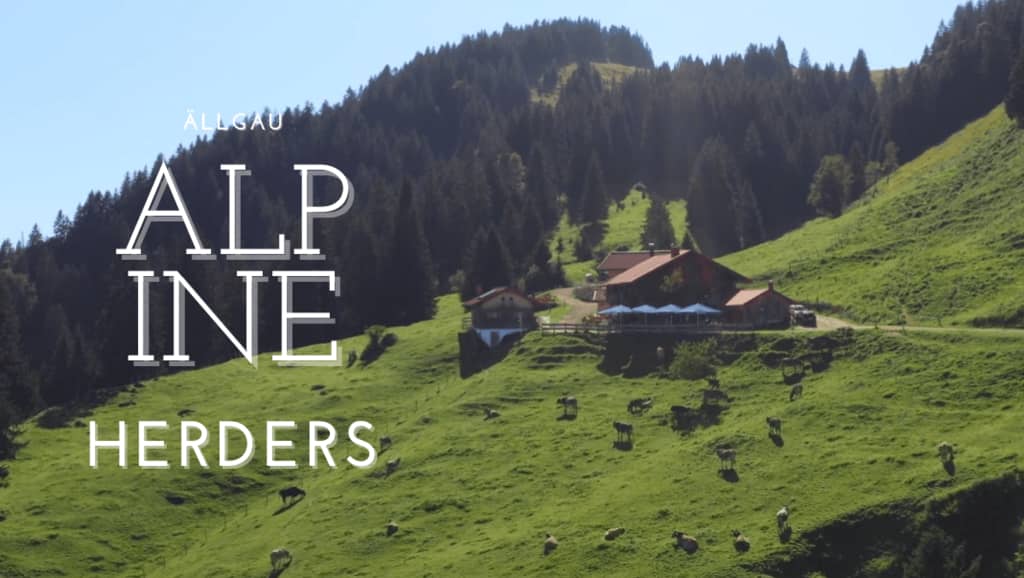 Изучайте немецкий язык с Alpine Herders